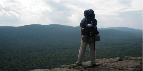 looking out over the wilderness