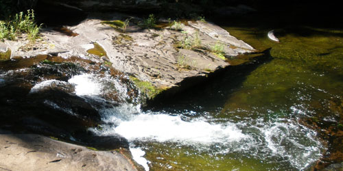 a section of the step falls next to the trail