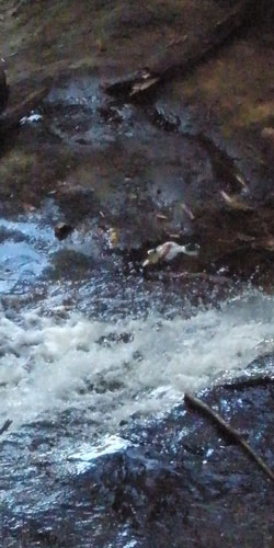 at the base of chapel falls